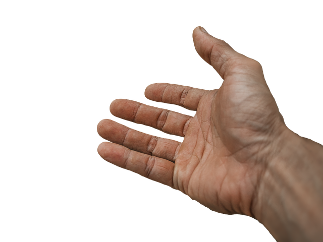 hand-g005223ac6_640